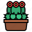 cacti, botanical, plant, cactus, flower 