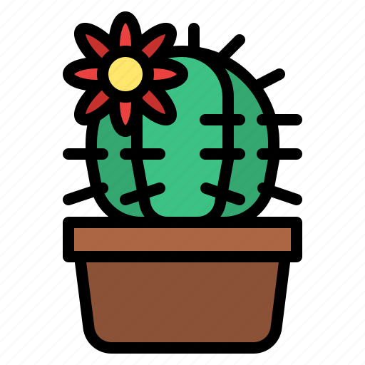 Cacti, botanical, plant, cactus, succulent icon - Download on Iconfinder