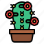 cacti, cactus, botanical, flower, plant 