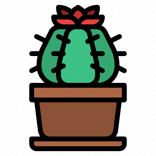 Cacti, cactus, botanical, plant, flower icon - Download on Iconfinder