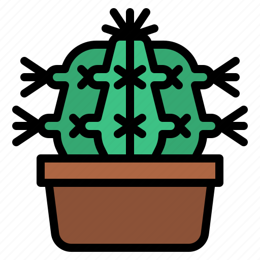 Cacti, cactus, flower, plant icon - Download on Iconfinder