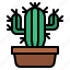 cacti, cactus, nature, plant 