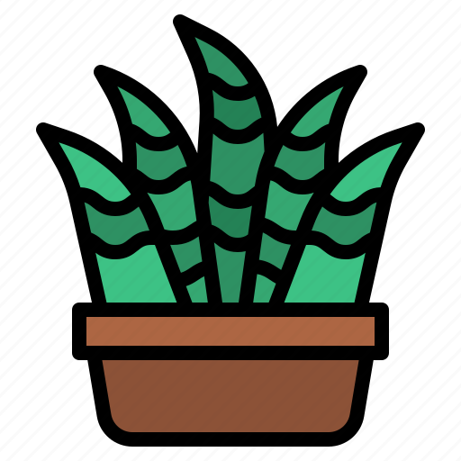 Cacti, cactus, plant, botanical icon - Download on Iconfinder
