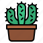 cactus, cacti, botanical, plant 