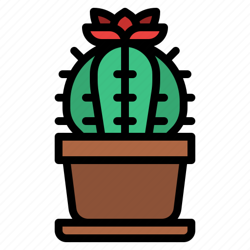 Cactus, cacti, flower, botanical icon - Download on Iconfinder