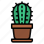 cactus, cacti, plant, botanical 