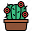 cactus, flower, botany, cacti 