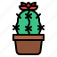 cactus, flower, cacti, plant, botanical 