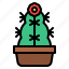 cactus, flower, pot, cacti 