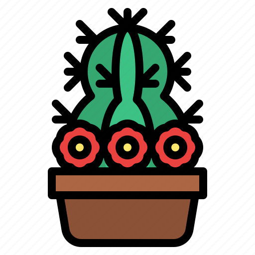 Cactus, flower, pot, garden icon - Download on Iconfinder