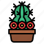 cactus, flower, pot, garden 