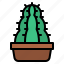 cactus, nature, pot, botanical 