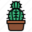 cactus, plant, cacti, nature, botanical 