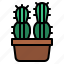 cactus, plant, flower, botany, cacti 