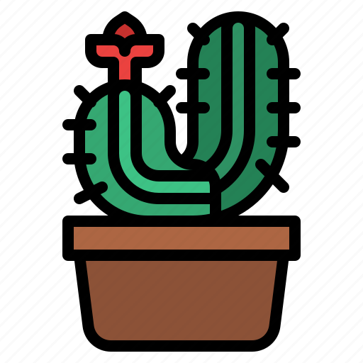 Cactus, plant, flower, cacti, botany icon - Download on Iconfinder