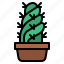 cactus, pot, botanical, plant 