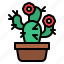 cactus, pot, botanical, plant, succulent 