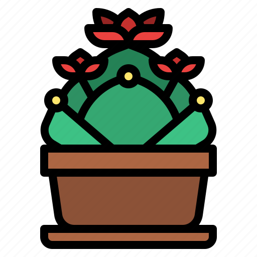 Cactus, succulent, botanical, plant icon - Download on Iconfinder