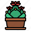 cactus, succulent, botanical, plant 