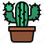cactus, succulent, cacti, botanical, plant 