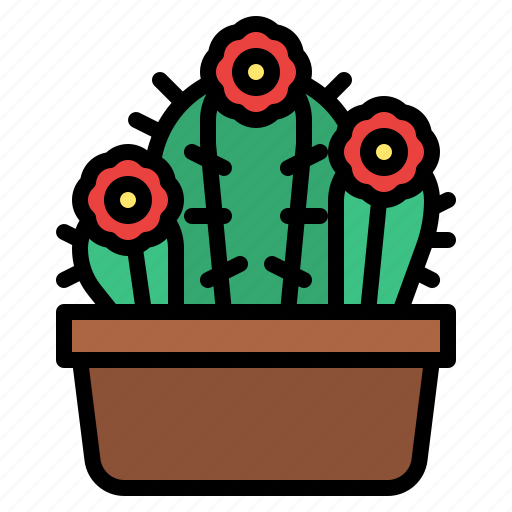 Cactus, succulent, nature, botanical icon - Download on Iconfinder