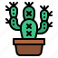cactus, succulent, nature, botanical, plant 