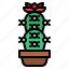 cactus, succulent, nature, cacti, plant 