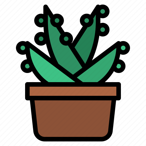 Suculent, cactus, plant icon - Download on Iconfinder