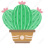 cactus, botany, cacti, desert 
