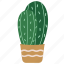 cactus, botany, pot, potted plant 
