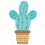 cactus, plant, flora, floral 