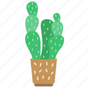 cactus, plant, garden, nature