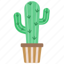 cactus, plant, pot, thorn