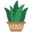cactus, plant, garden, nature 