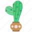 cactus, botany, pot, potted plant 