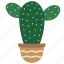 cactus, plant, garden, nature 