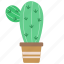 cactus, botany, cacti, floral 