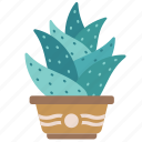 cactus, botany, tropical, aloe vera