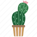 cactus, plant, summer, desert