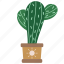 cactus, plant, summer, desert 