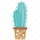 cactus, botany, tropical, floral
