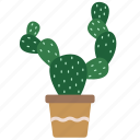 cactus, botany, cacti, desert