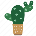 cactus, plant, desert, floral