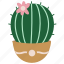 cactus, botany, tropical, floral 