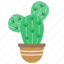 cactus, plant, desert, floral