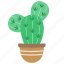 cactus, plant, desert, floral 