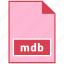 file format, mdb 
