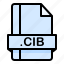 cib, file, file extension, file format, file type 