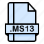 file, file extension, file format, file type, ms13 