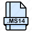 file, file extension, file format, file type, ms14 